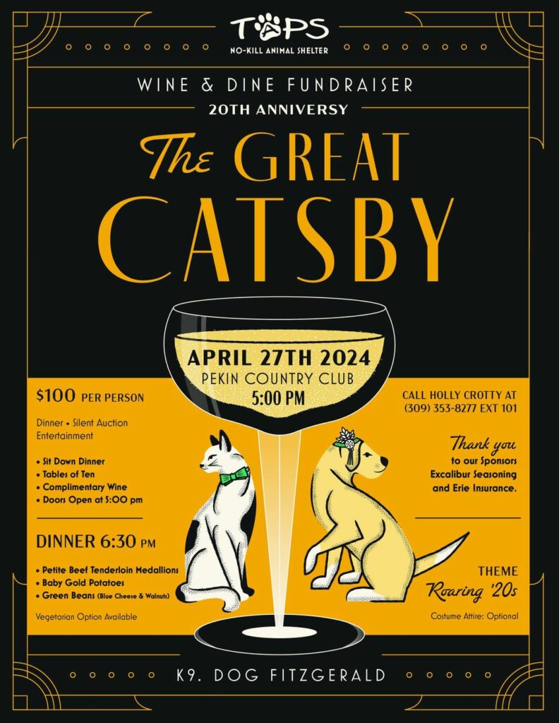 The Great Catsby Fundraiser Promo Flyer